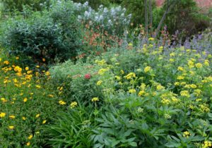 Spring in the pollinator garden!