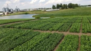 Cover photo for Optimizing Soybean Planting Date and Maturity Group in NC