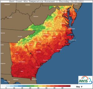 Cover photo for AWIS Weather Forecast: Frost Alert Thursday / Friday, April 22-23