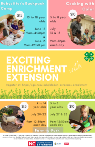 Cover photo for Exciting Enrichment With Extension (EEE)