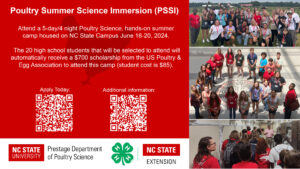 PSSI flyer