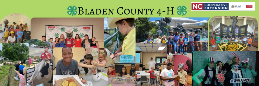 Bladen County 4-H Collage