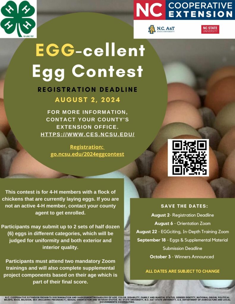 Egg-Cellent Egg Contest flyer.